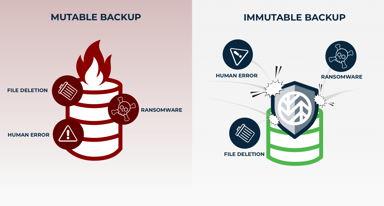 mutable-vs-immutable graphic