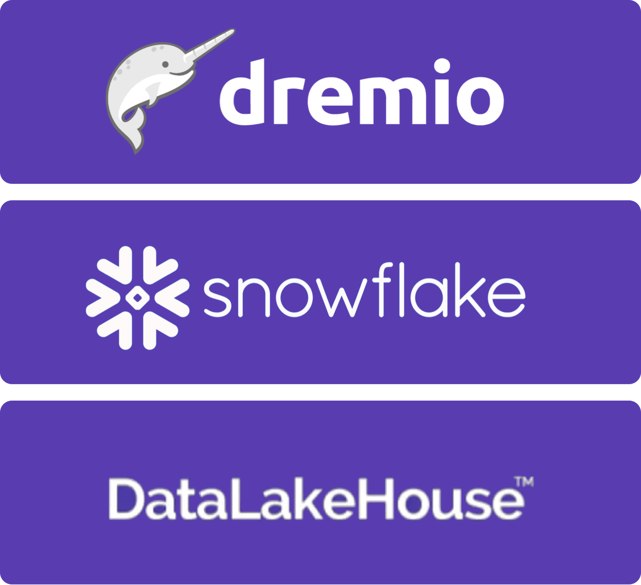 data lake partners