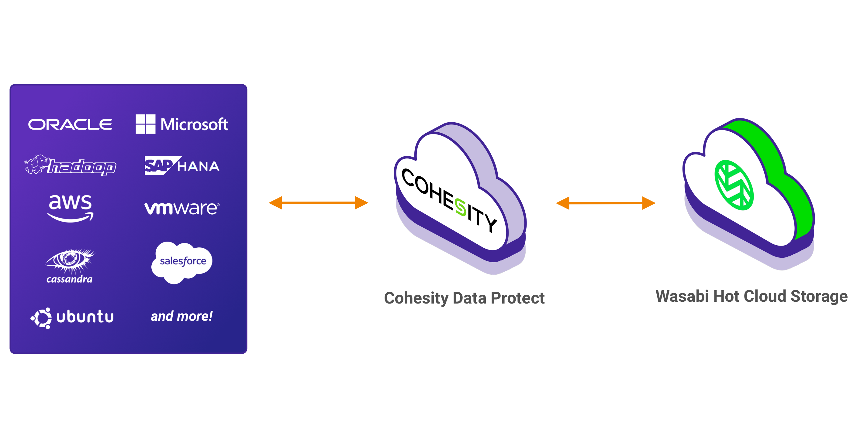 cohesity diagram