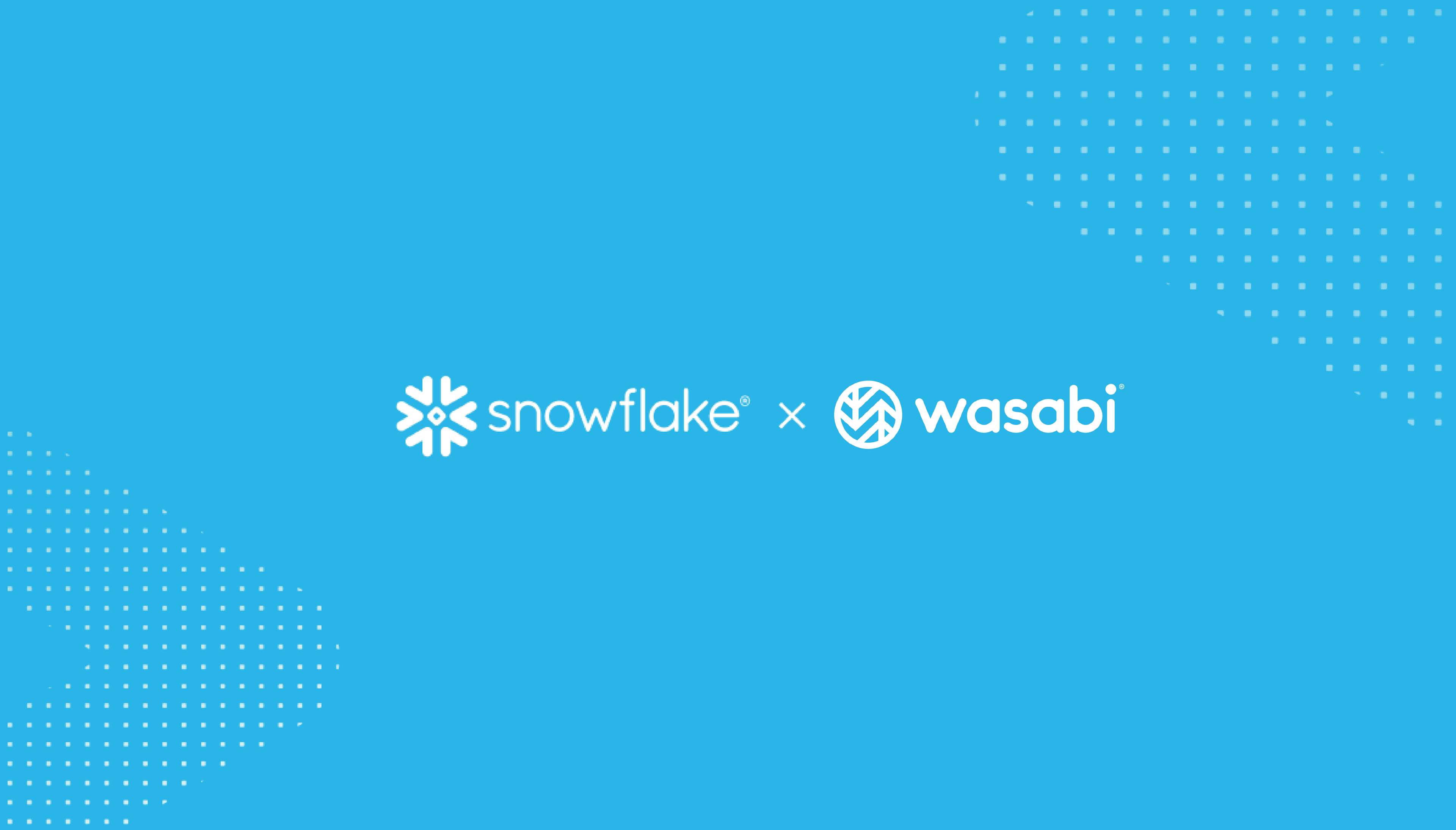 SnowflakexWasabi