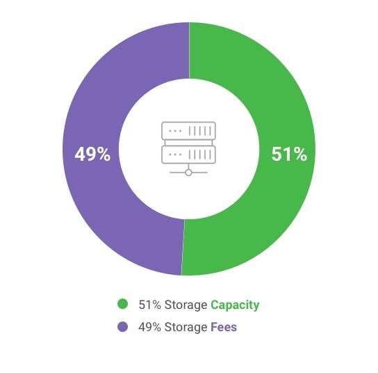 Donut pie chart indicating 49 percent fees and 51 percent storage capacity breakdown